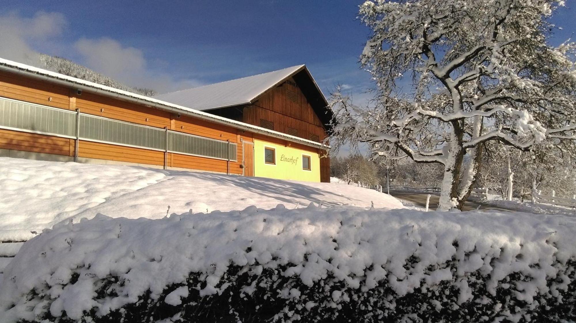Linarhof Apartment Urlaub Am Bio Bauernhof Haus im Ennstal Exteriér fotografie