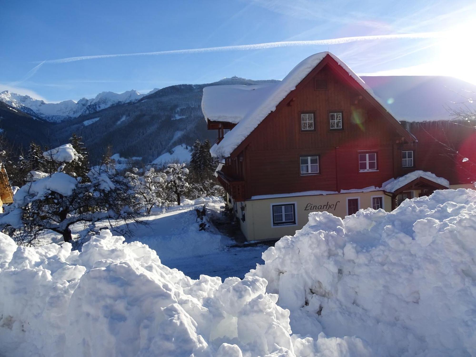 Linarhof Apartment Urlaub Am Bio Bauernhof Haus im Ennstal Exteriér fotografie