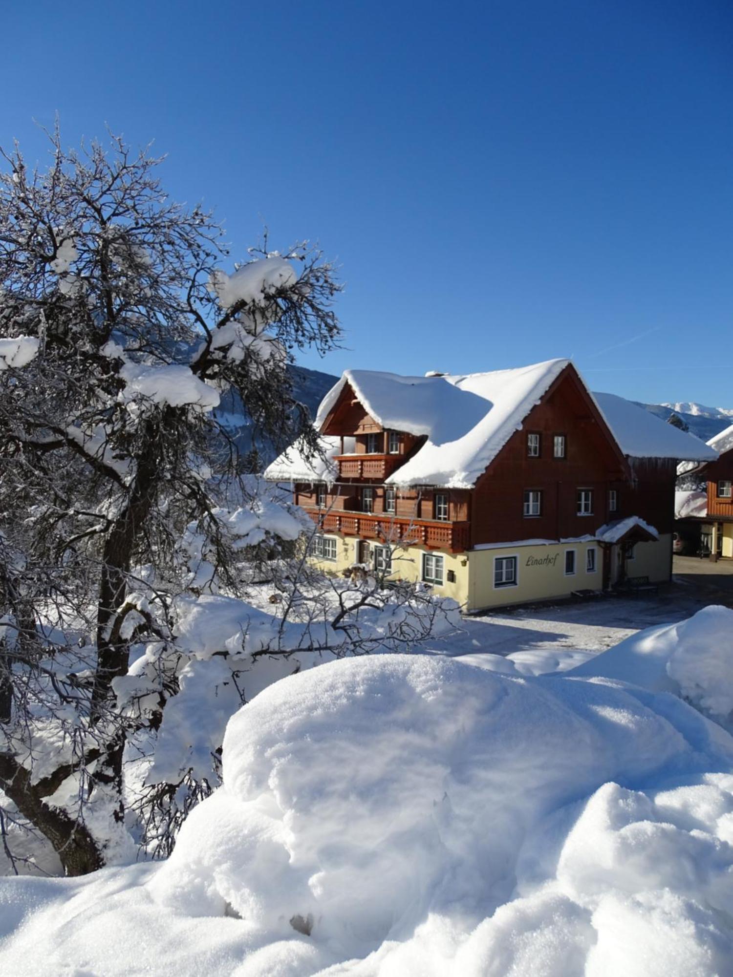 Linarhof Apartment Urlaub Am Bio Bauernhof Haus im Ennstal Exteriér fotografie
