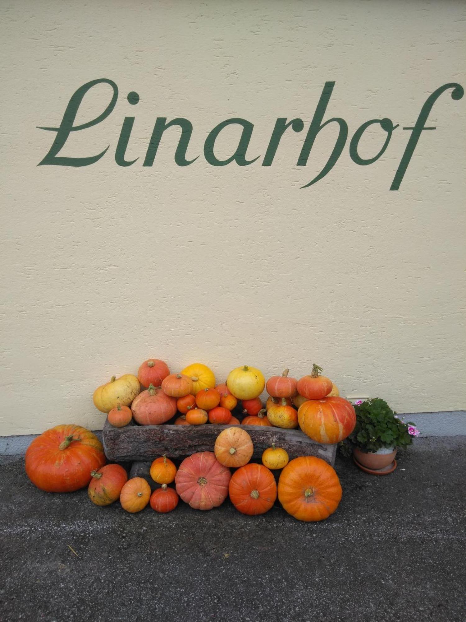 Linarhof Apartment Urlaub Am Bio Bauernhof Haus im Ennstal Exteriér fotografie